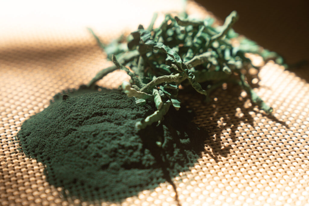 Comprar Alma espirulina Almería