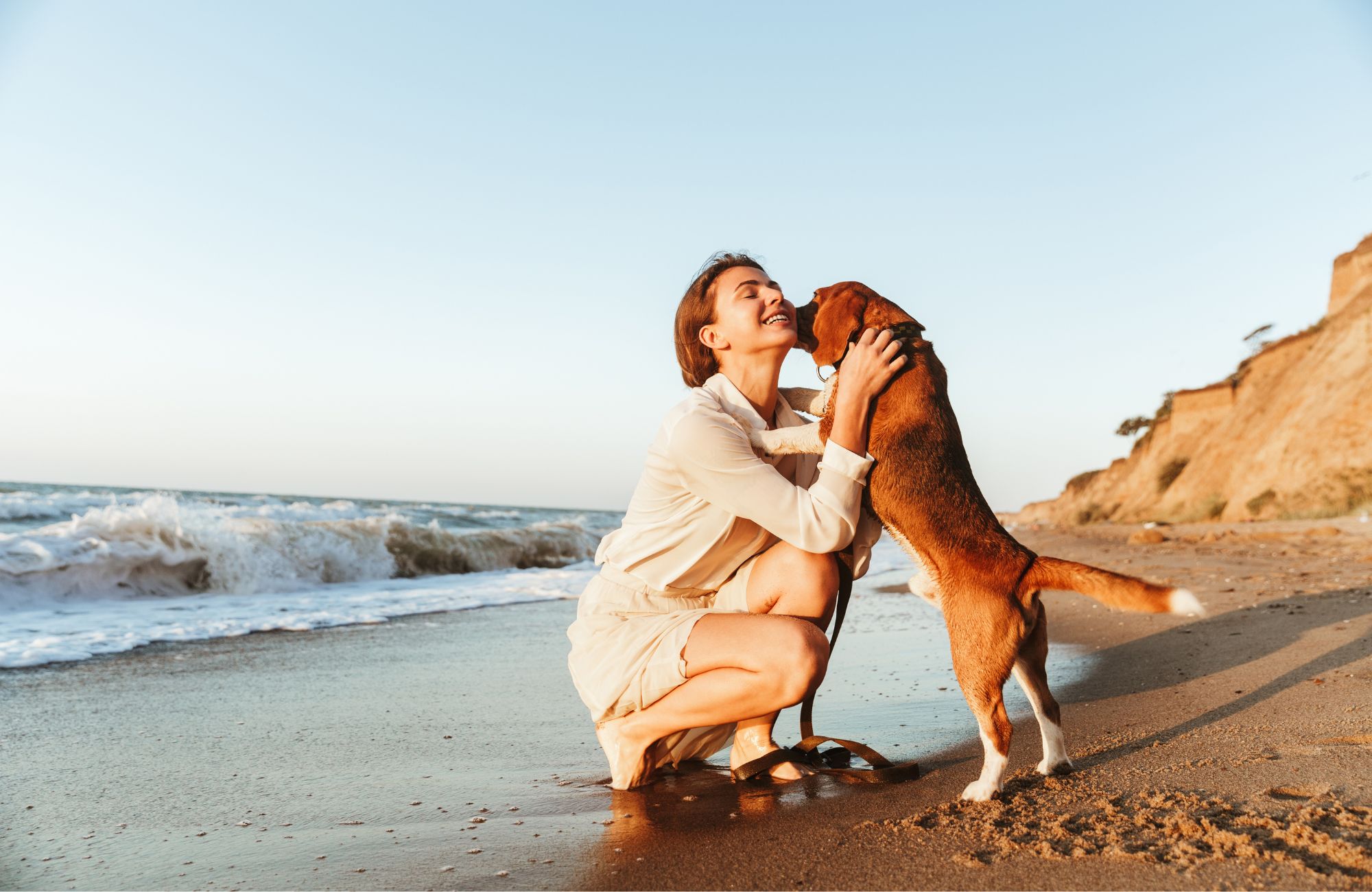 espirulina para perros